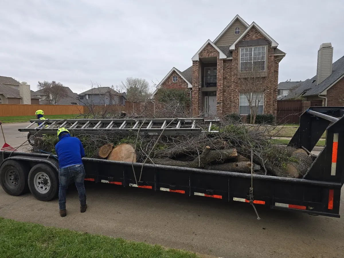 Expert Tree Fertilization with proper safety equipment in White Pine
